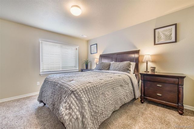 13867 Antelope Pass Place, Colorado Springs, CO 80921