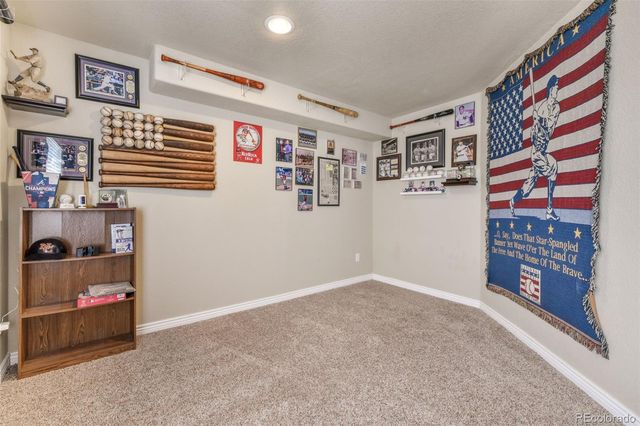 13867 Antelope Pass Place, Colorado Springs, CO 80921