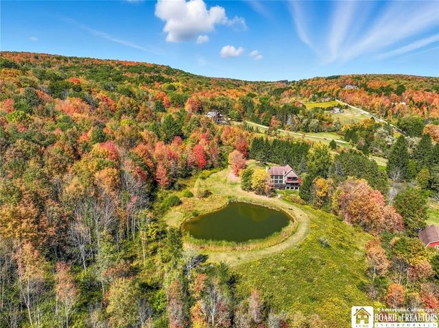 6753 Poverty Hill Road, Ellicottville, NY 14731