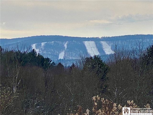 6753 Poverty Hill Road, Ellicottville, NY 14731