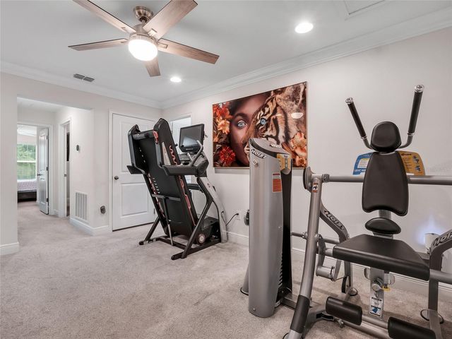 14309 PONDHAWK LANE, Tampa, FL 33625