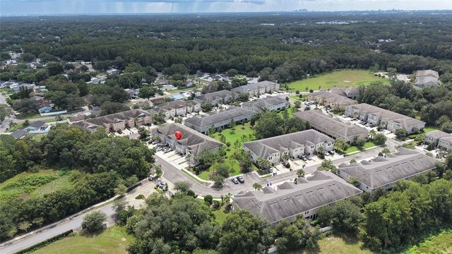 14309 PONDHAWK LANE, Tampa, FL 33625