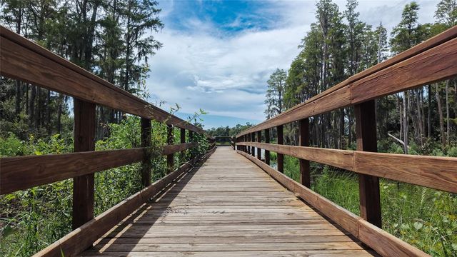 14309 PONDHAWK LANE, Tampa, FL 33625