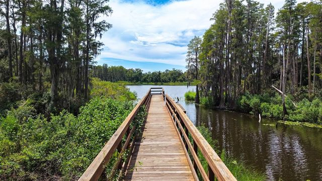 14309 PONDHAWK LANE, Tampa, FL 33625