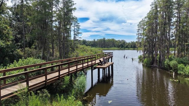 14309 PONDHAWK LANE, Tampa, FL 33625