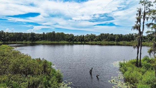 14309 PONDHAWK LANE, Tampa, FL 33625