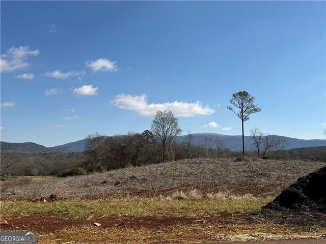 118 Palisade Drive, Rydal, GA 30171