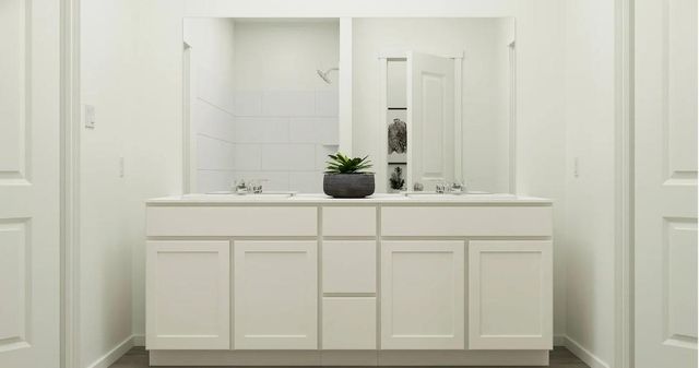 29055 Bison Haven Drive, Hockley, TX 77447