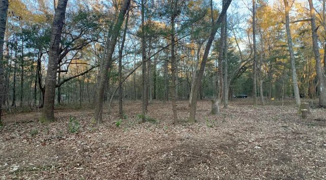 0 Sol Farm Road, Johns Island, SC 29455
