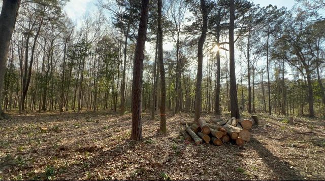0 Sol Farm Road, Johns Island, SC 29455