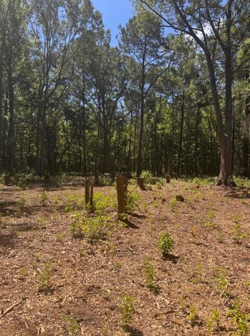 0 Sol Farm Road, Johns Island, SC 29455