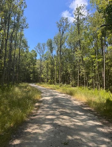 0 Sol Farm Road, Johns Island, SC 29455