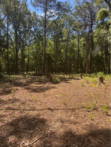 0 Sol Farm Road, Johns Island, SC 29455