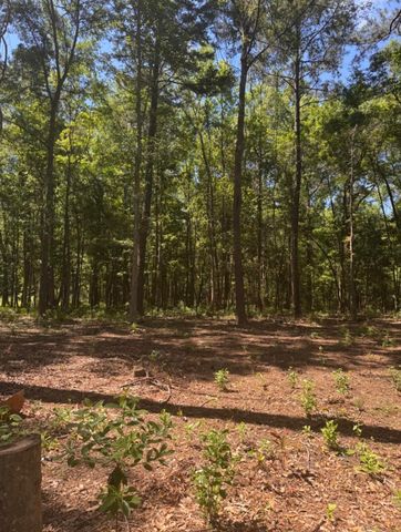 0 Sol Farm Road, Johns Island, SC 29455