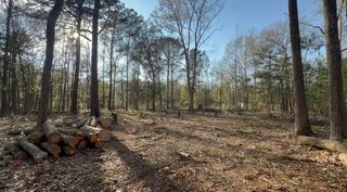 0 Sol Farm Road, Johns Island, SC 29455