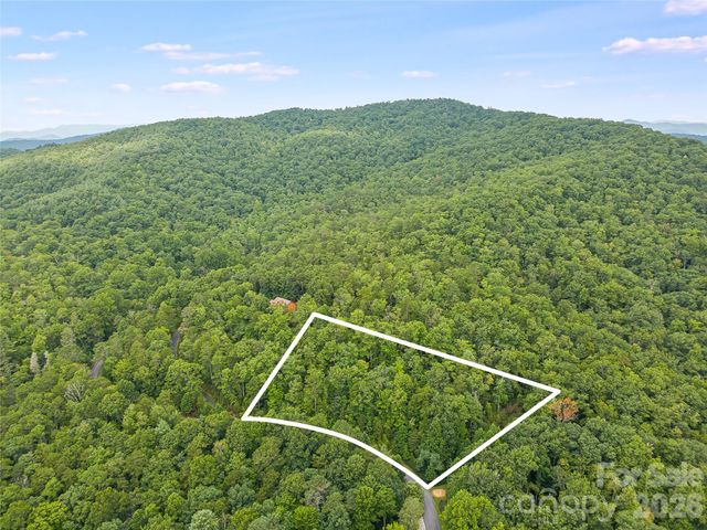 45 lobdell Road 45, Pisgah Forest, NC 28768