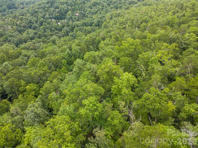 45 lobdell Road 45, Pisgah Forest, NC 28768
