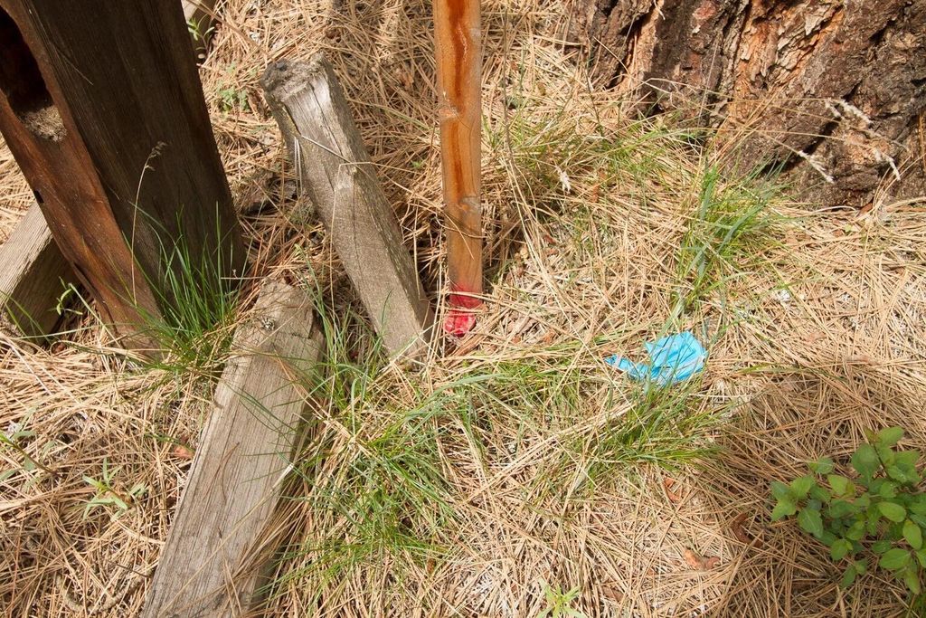 202 Eagle Dr, Chewelah, WA 99109 photo 3