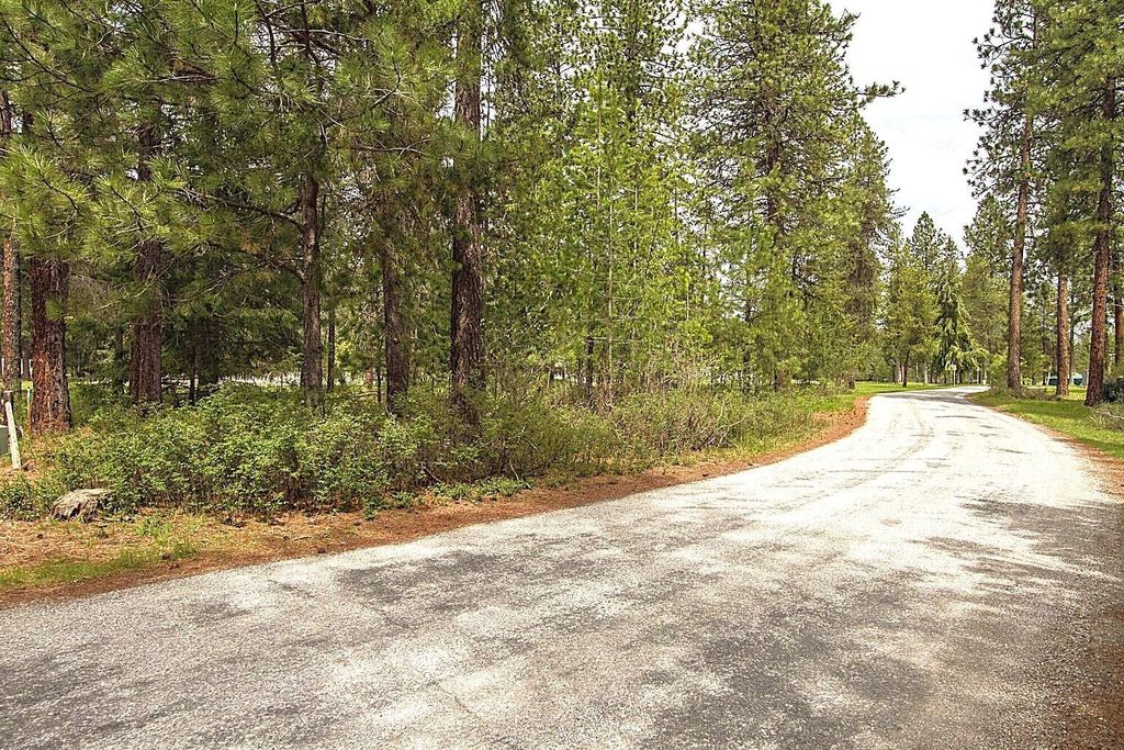 202 Eagle Dr, Chewelah, WA 99109 photo 5