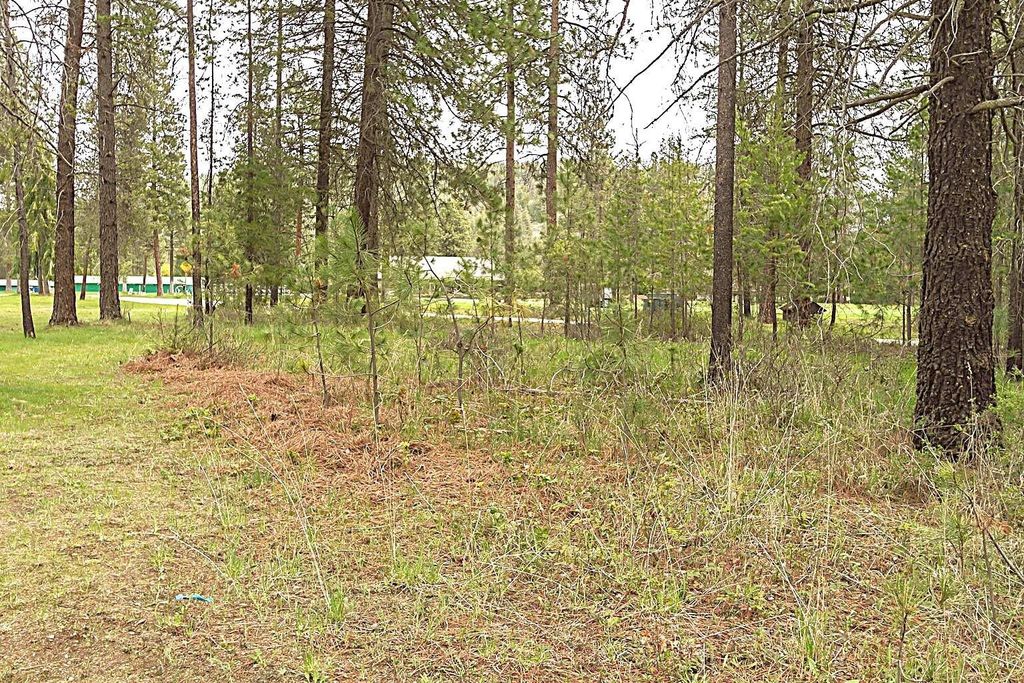 202 Eagle Dr, Chewelah, WA 99109 photo 6