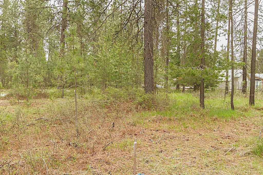 202 Eagle Dr, Chewelah, WA 99109 photo 7