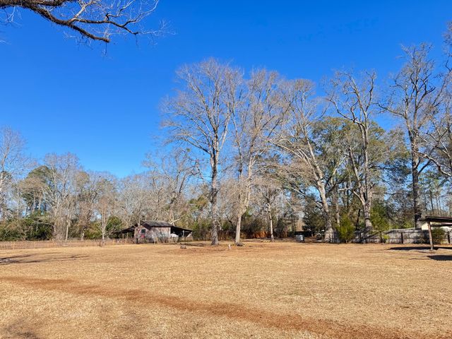 4233 Mt. Nebo Road, Lodge, SC 29082