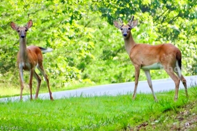 135 Boulder Ridge Drive, Denton, NC 27239