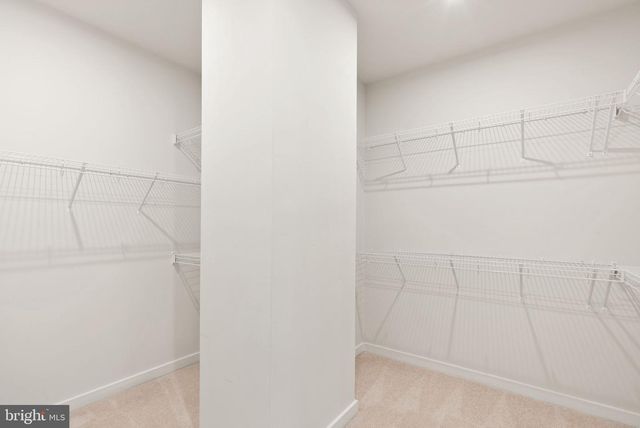 1719 BEECH LEAF ST, Dumfries, VA 22026