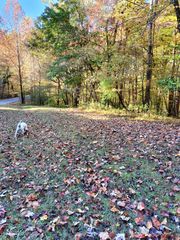 Lot 49 Gap Bridge RD, Moneta, VA 24121