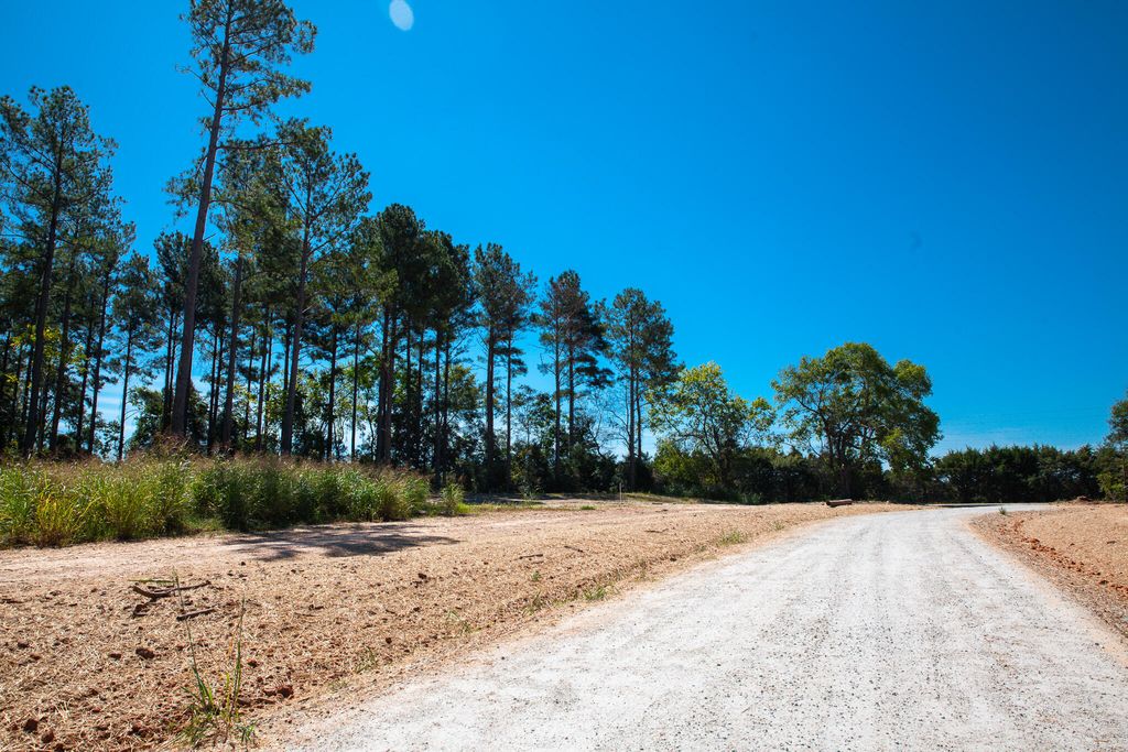 510 Rabbit Pen Drive, Appling, GA 30802