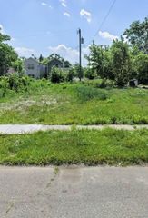 491 W Lantz Street, Detroit, MI 48203