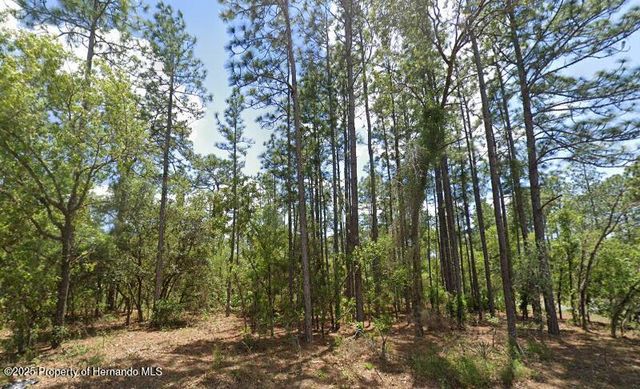 3662 W Galtonia Lane, Citrus Springs, FL 34433