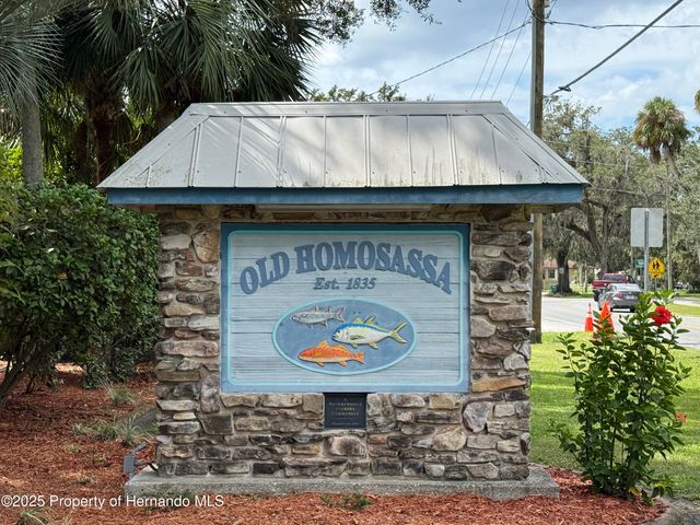 3662 W Galtonia Lane, Citrus Springs, FL 34433