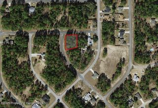 3662 W Galtonia Lane, Citrus Springs, FL 34433