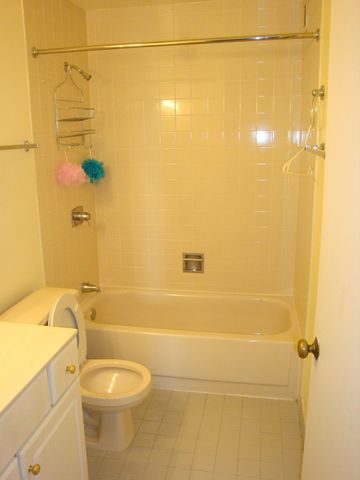 2605 S INDIANA Avenue 2207, Chicago, IL 60616