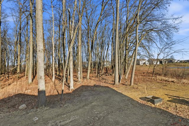 3668 Colts Reign Drive, Powell, OH 43065