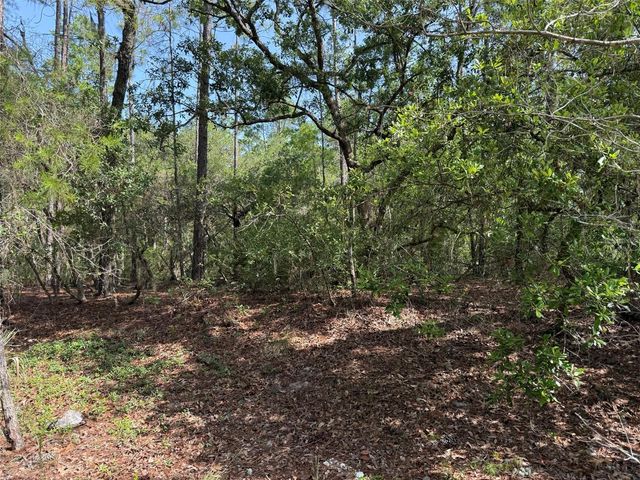 101 WASHINGTON AVENUE, Satsuma, FL 32189