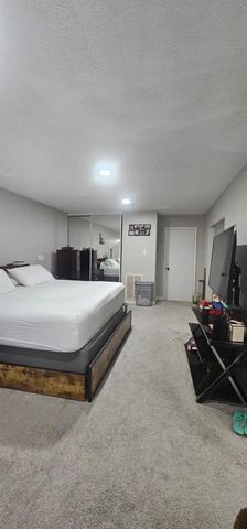 6171 Dryad Drive, Houston, TX 77035