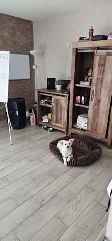 6171 Dryad Drive, Houston, TX 77035