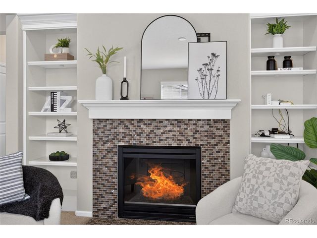 3810 Cadence Dr, Castle Rock, CO 80109