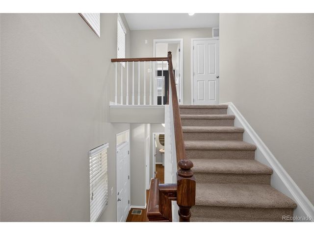 3810 Cadence Dr, Castle Rock, CO 80109