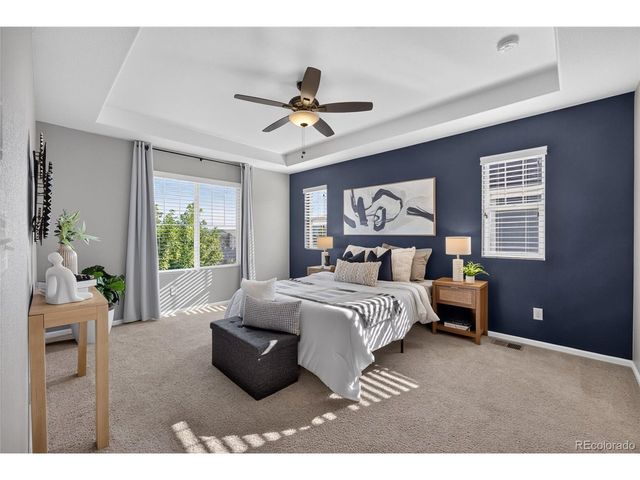 3810 Cadence Dr, Castle Rock, CO 80109