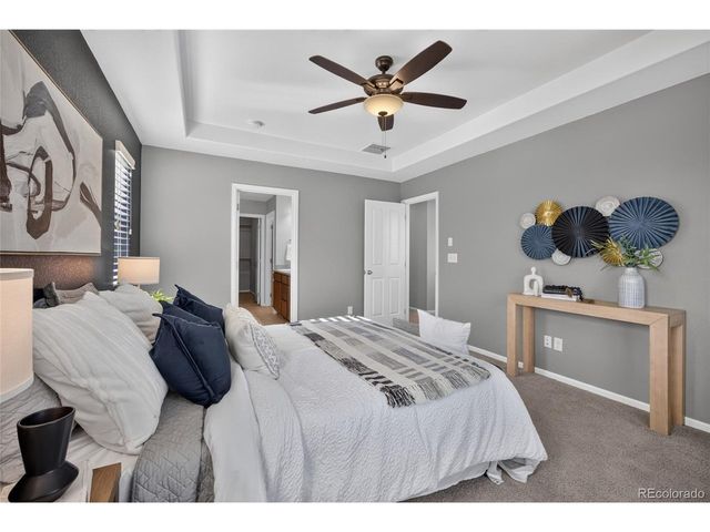 3810 Cadence Dr, Castle Rock, CO 80109