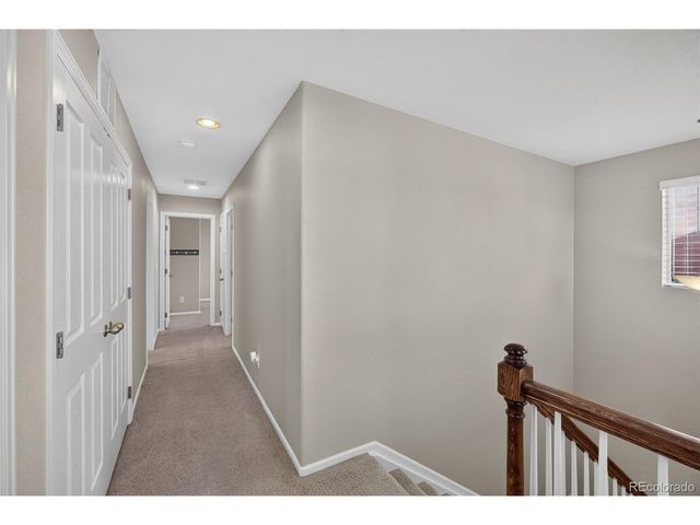 3810 Cadence Dr, Castle Rock, CO 80109