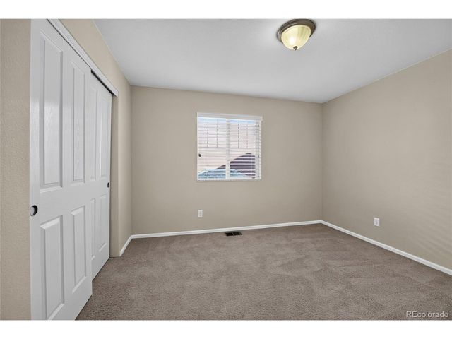 3810 Cadence Dr, Castle Rock, CO 80109