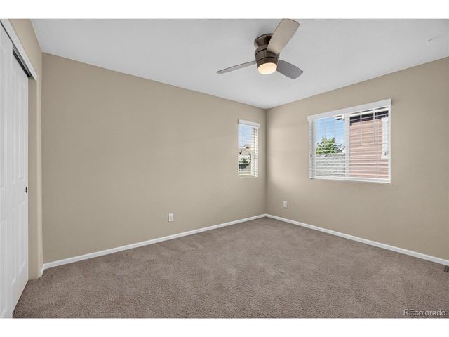3810 Cadence Dr, Castle Rock, CO 80109
