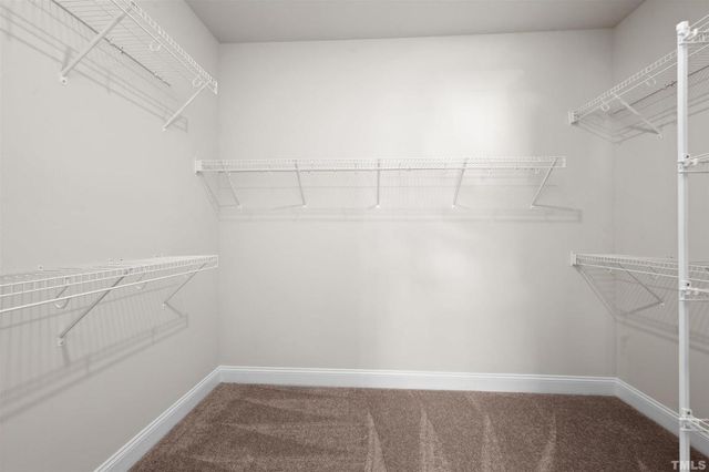 2917 Early Planting Avenue, Apex, NC 27502