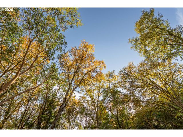 291 CALLAHAN Rd, Roseburg, OR 97471