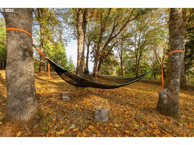 291 CALLAHAN Rd, Roseburg, OR 97471