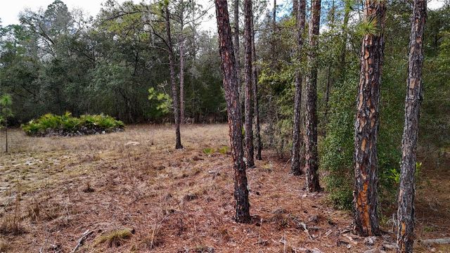 237 HIGHLAND DRIVE, Hawthorne, FL 32640